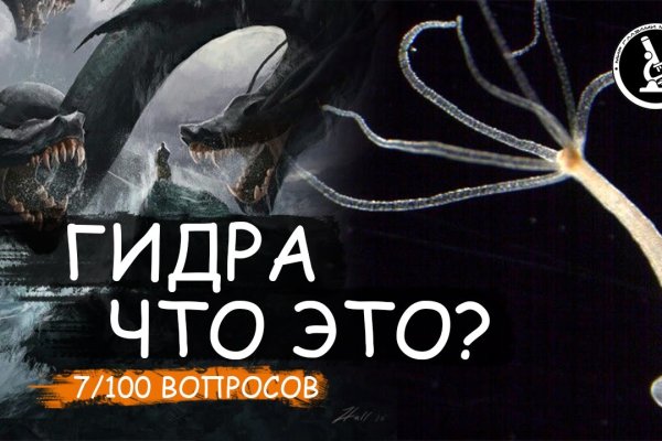 Kraken 23at