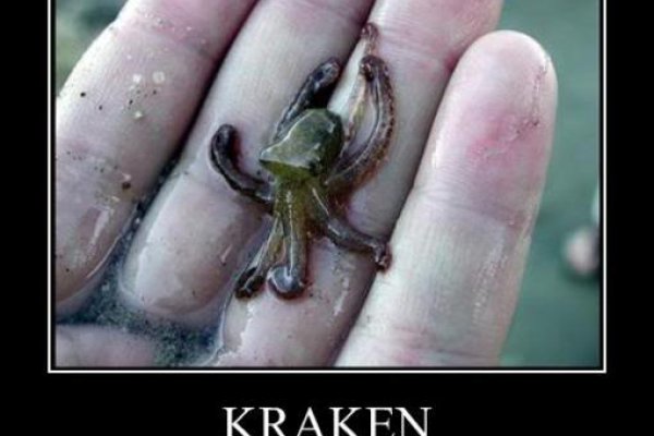 Kraken 24at