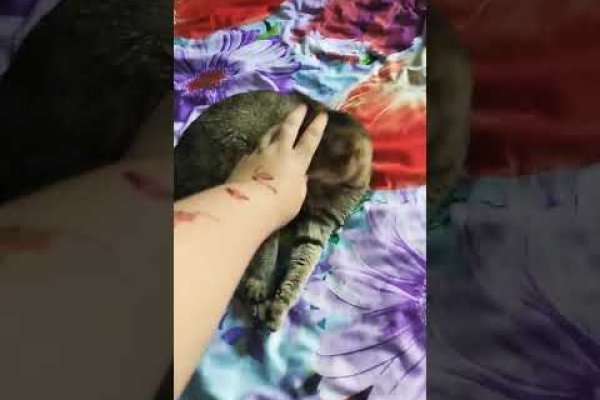 Кракен даркет